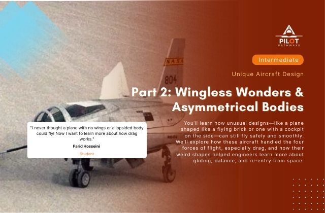 Part 2: Wingless Wonders and Asymmetrical Bodies